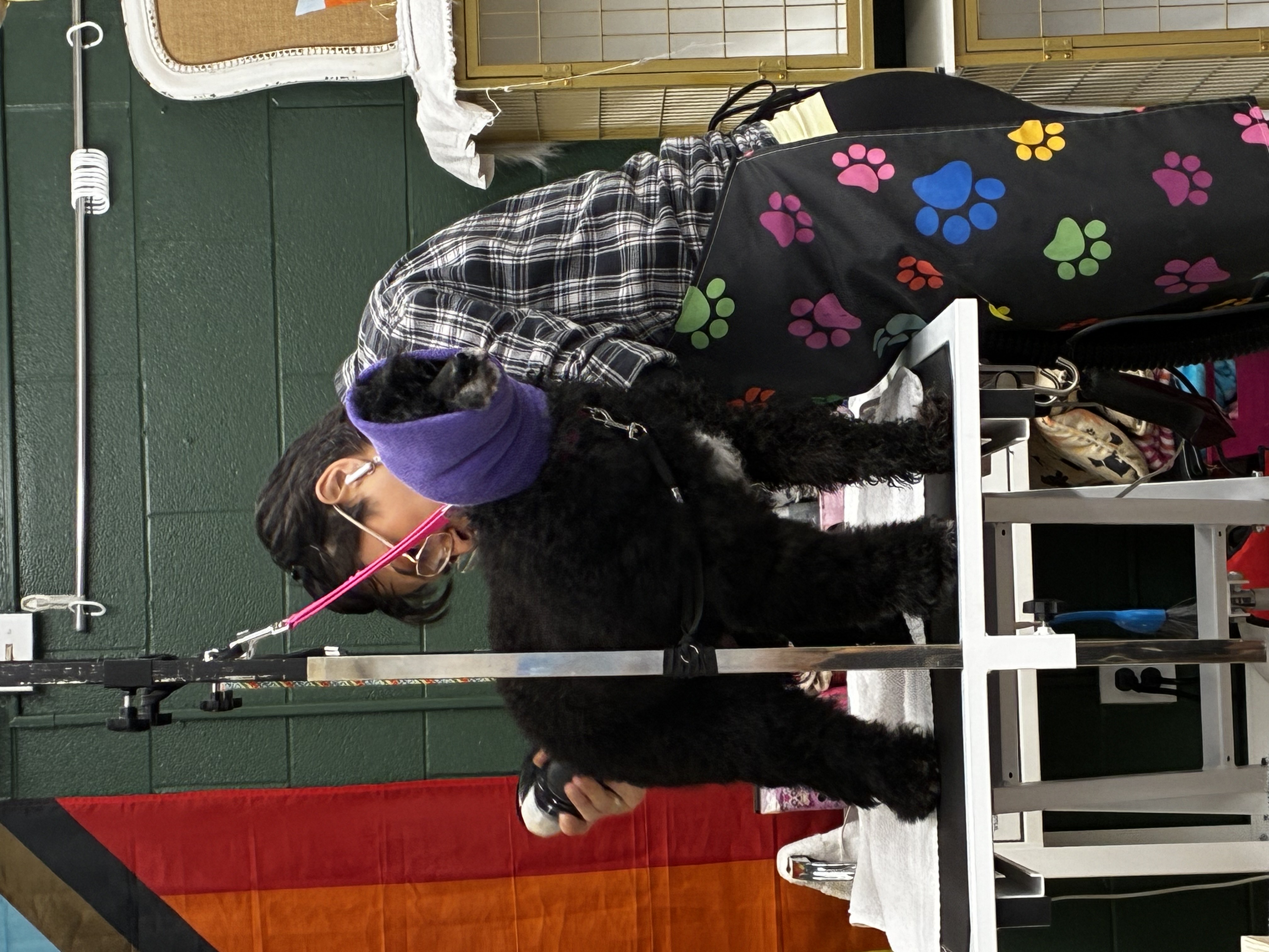 Pet Nail Trims & Buffing Oak Harbor