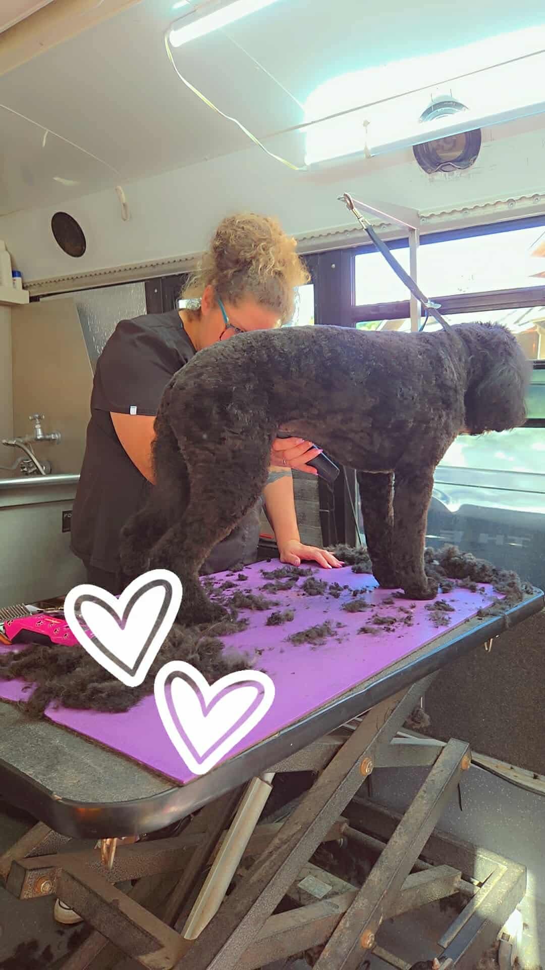 Pet Nail Trims & Buffing Oak Harbor