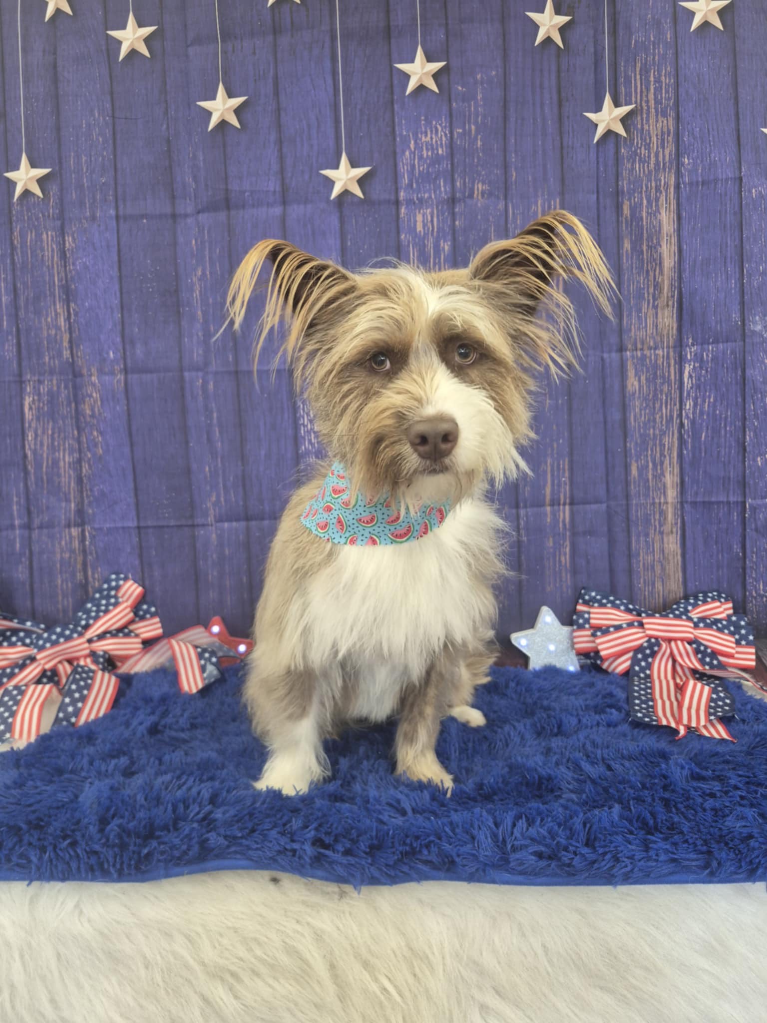 Clinton Ear Cleaning