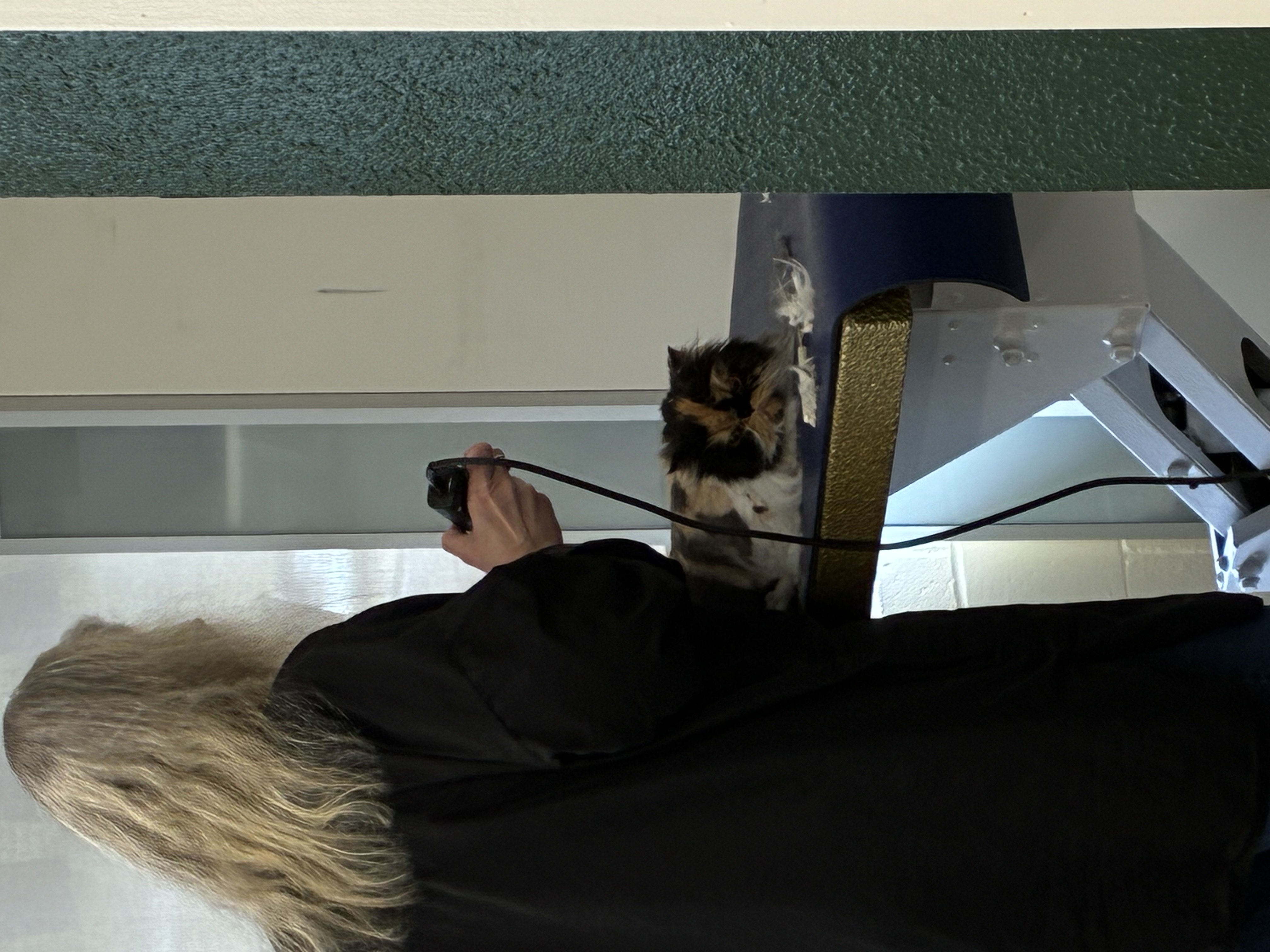 Tidy-Ups in Between Grooms Oak Harbor