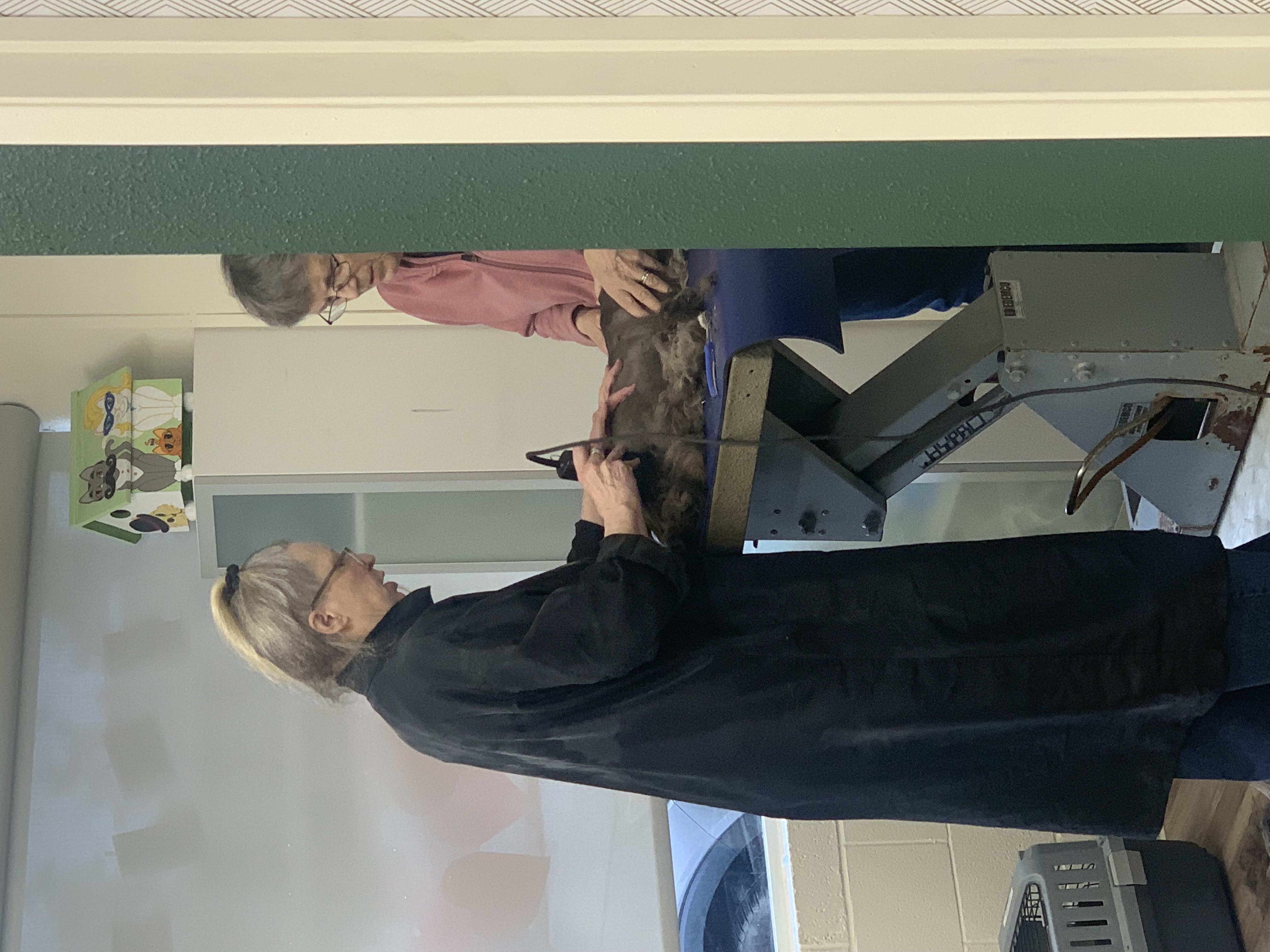 Freeland Full Dog Grooming