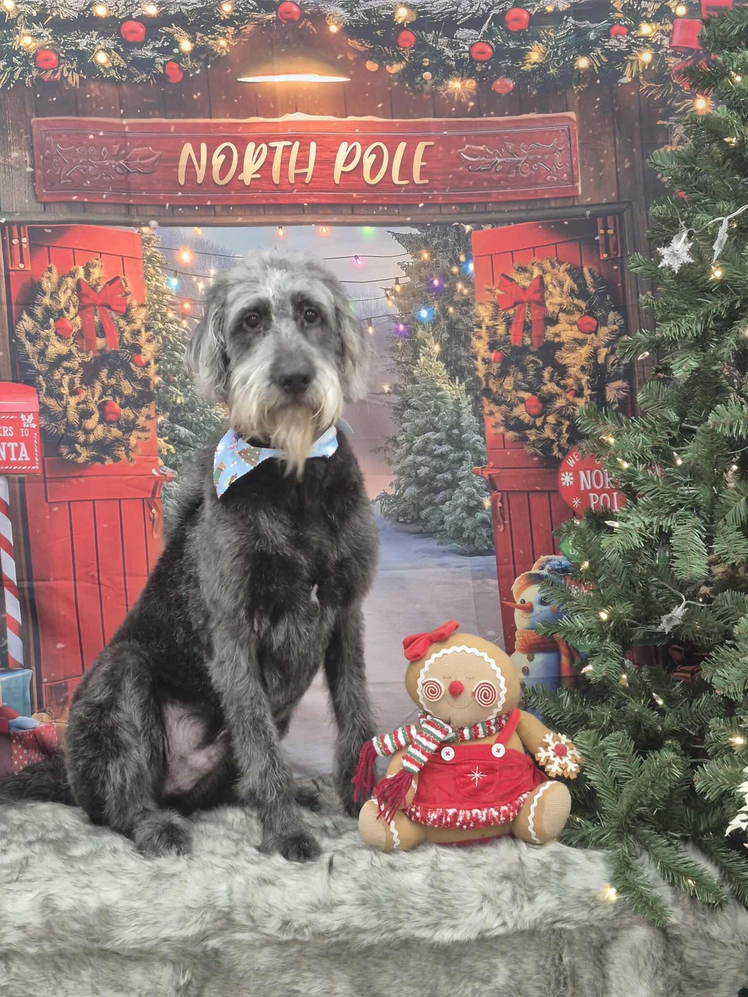 Tidy-Ups in Between Grooms 