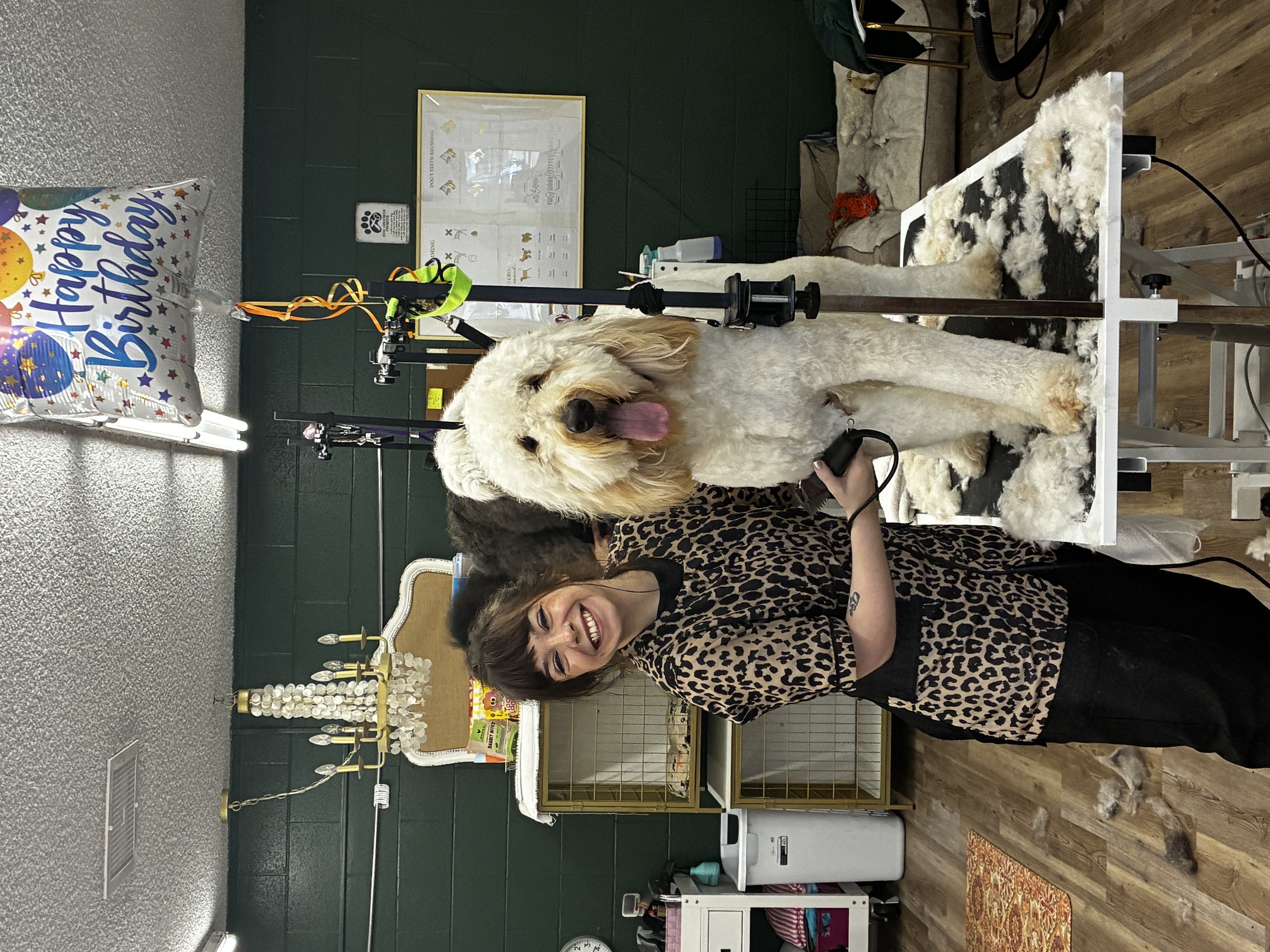 Cat Grooming Oak Harbor