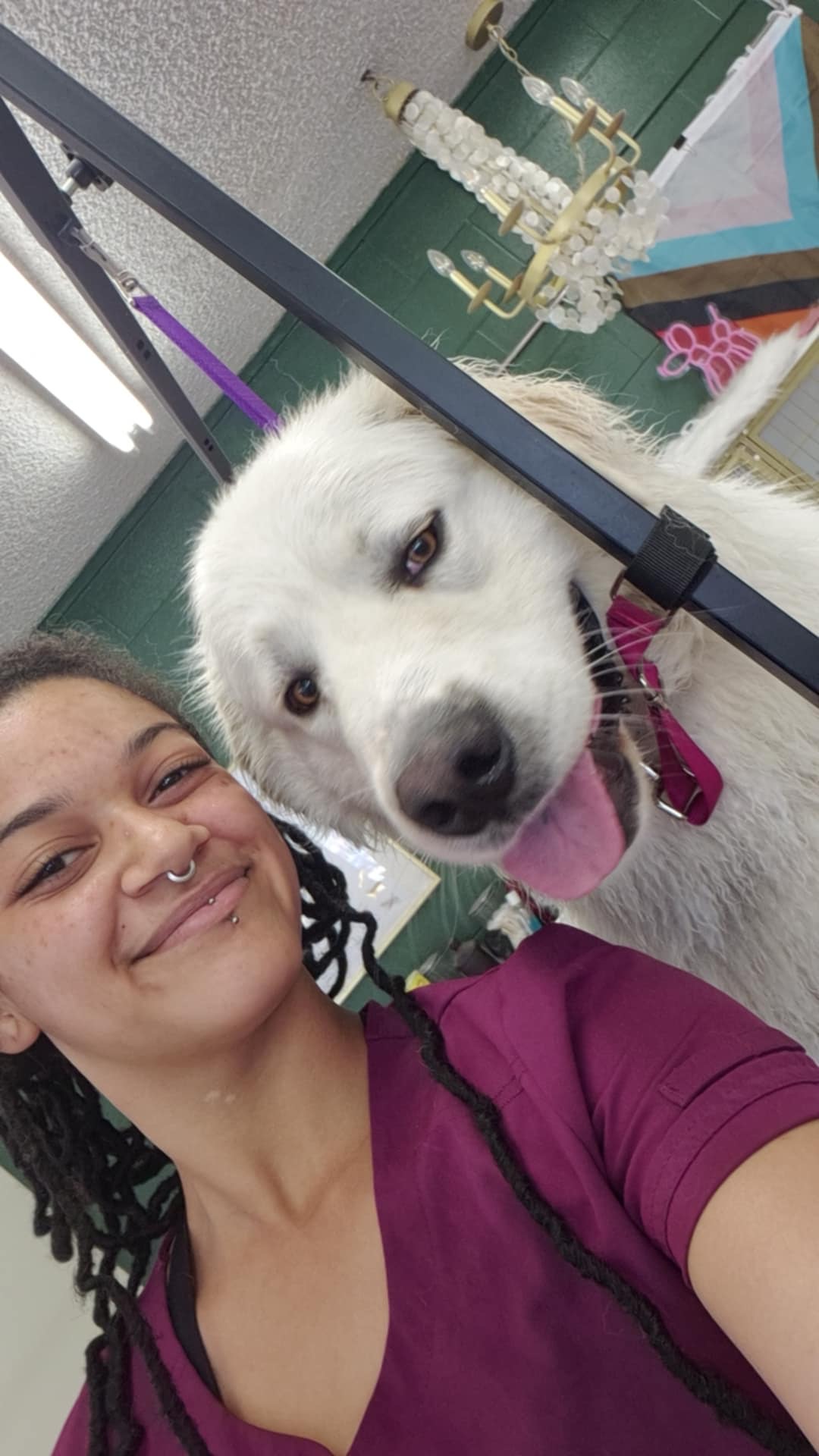 Full Dog Grooming Oak Harbor