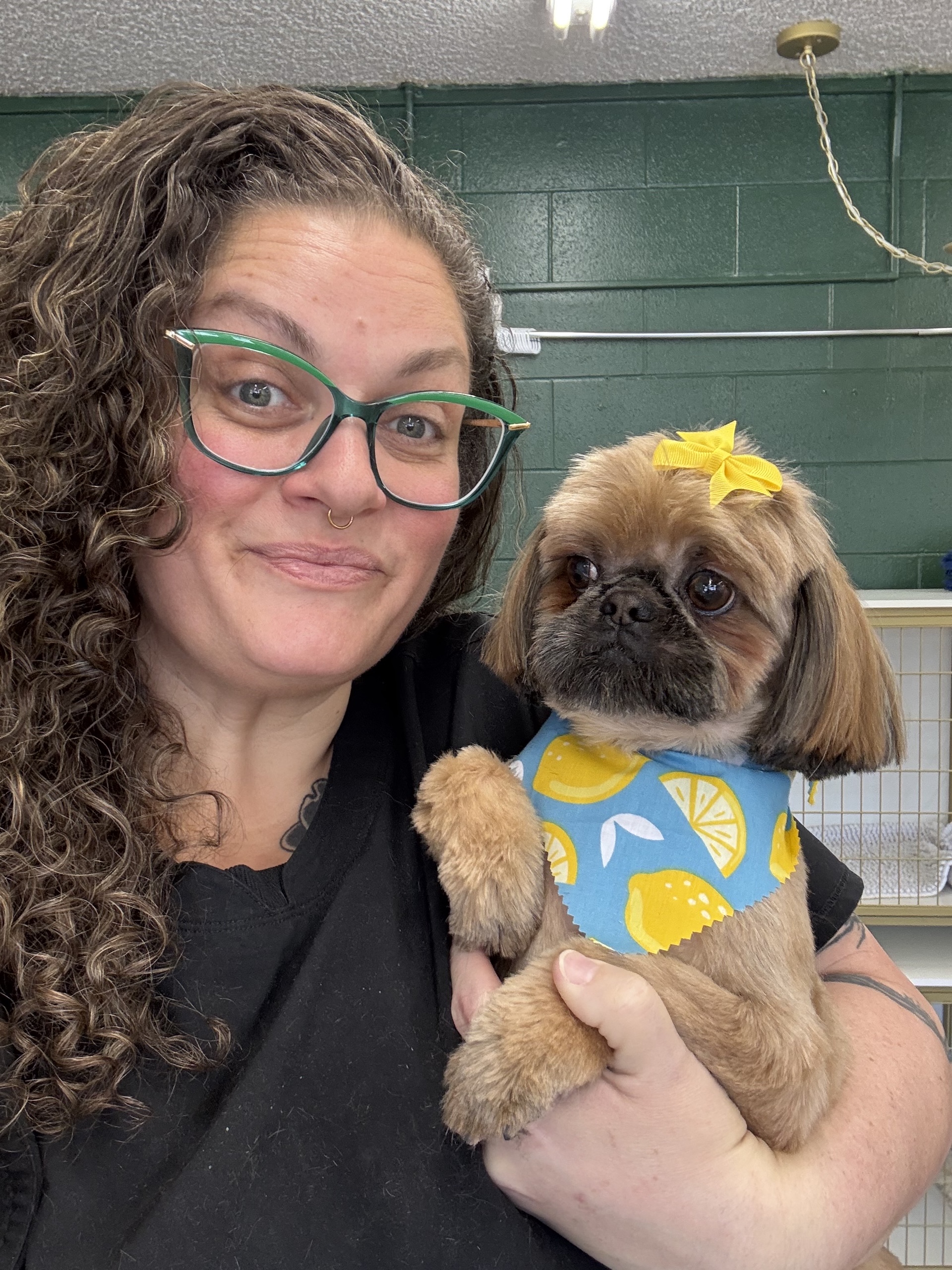 Greenbank Full Dog Grooming