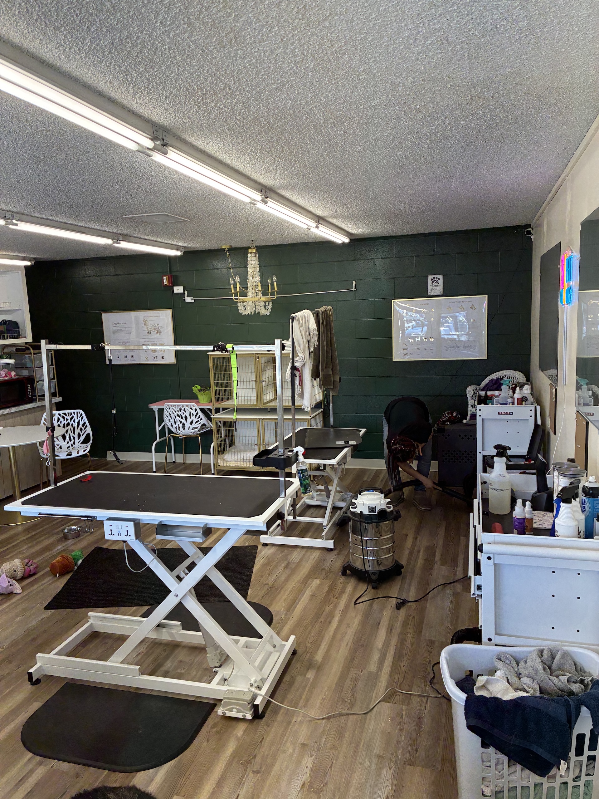 Flea Baths Oak Harbor