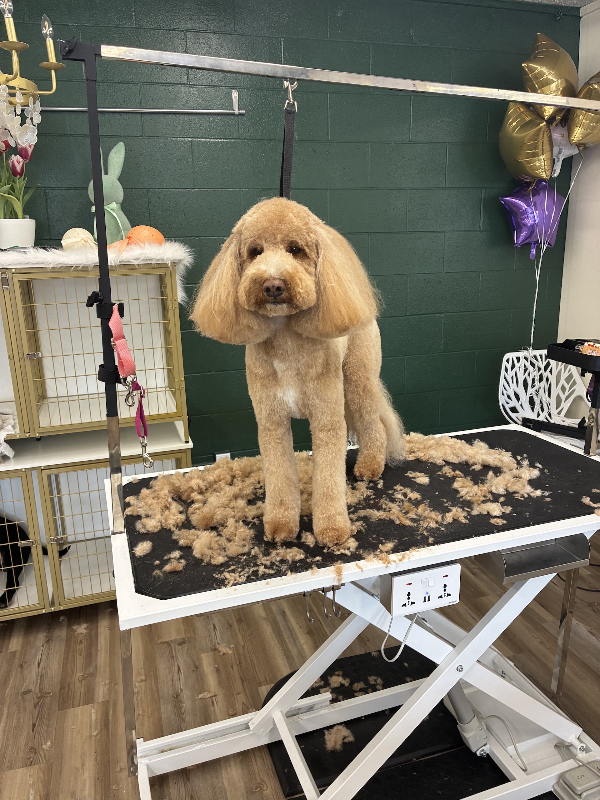 Hand Stripping Oak Harbor