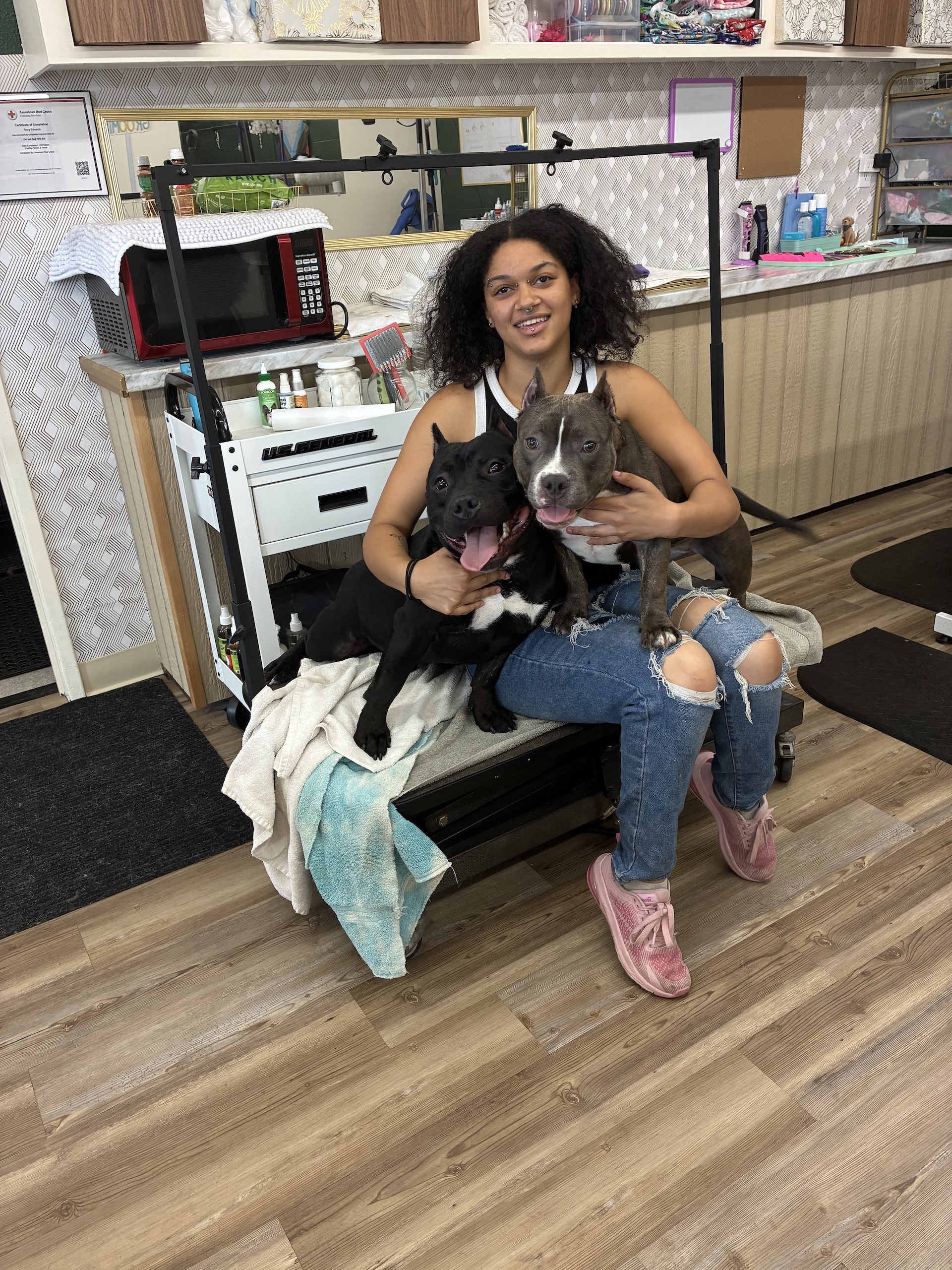Dog Grooming Oak Harbor