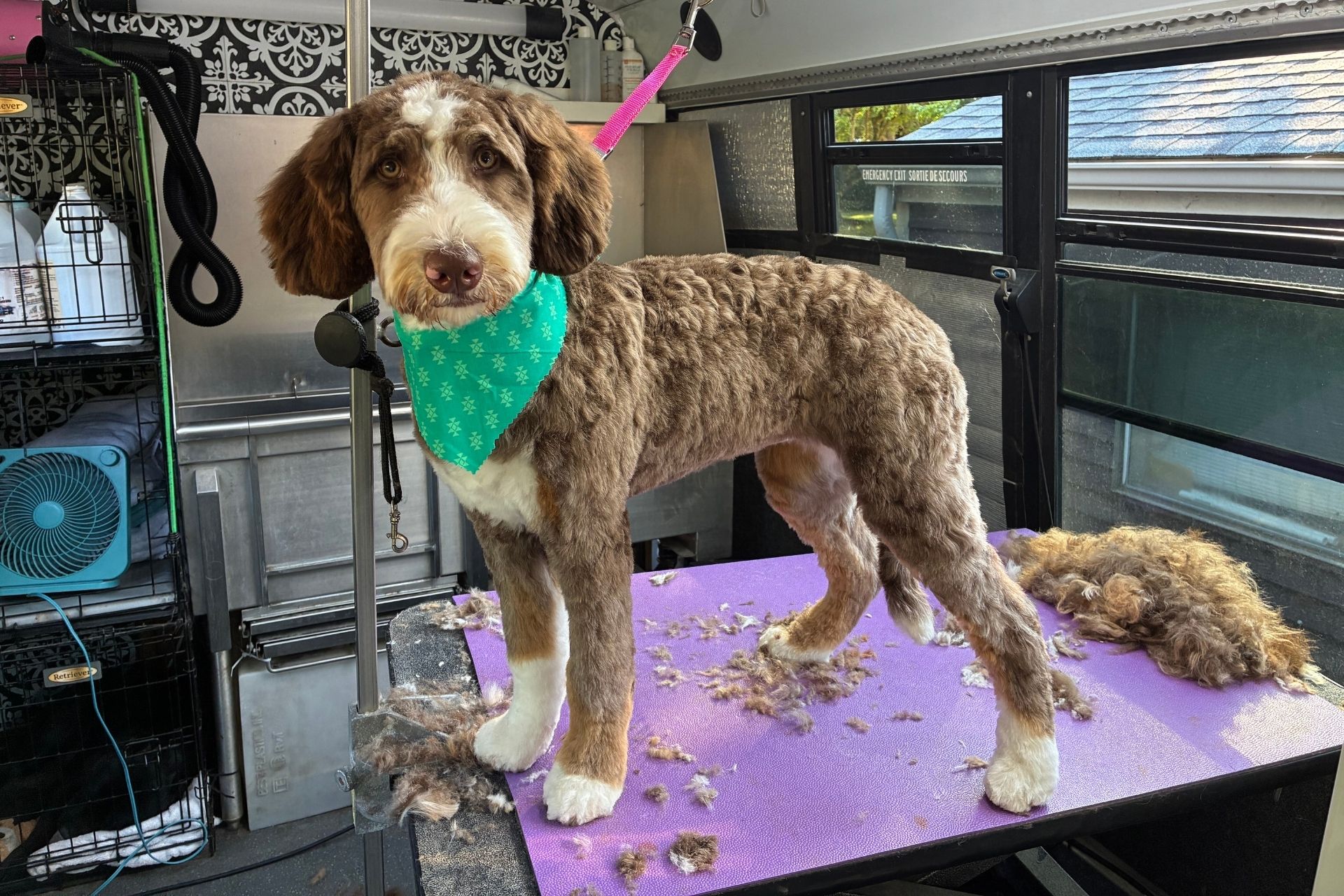 {{ custom_values.service_1 }} in {{custom_values.biz_area_1})