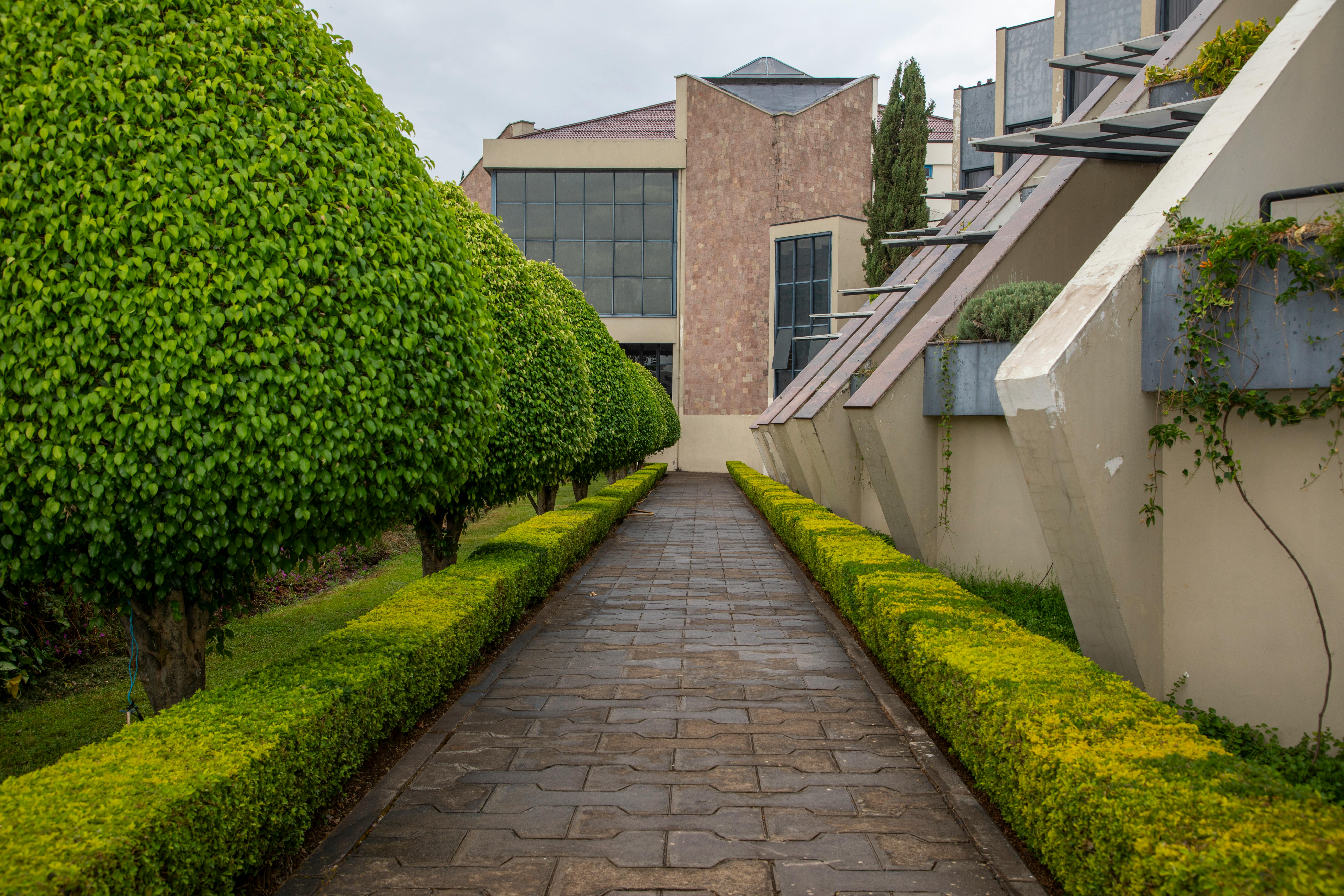 Commercial Landscaping