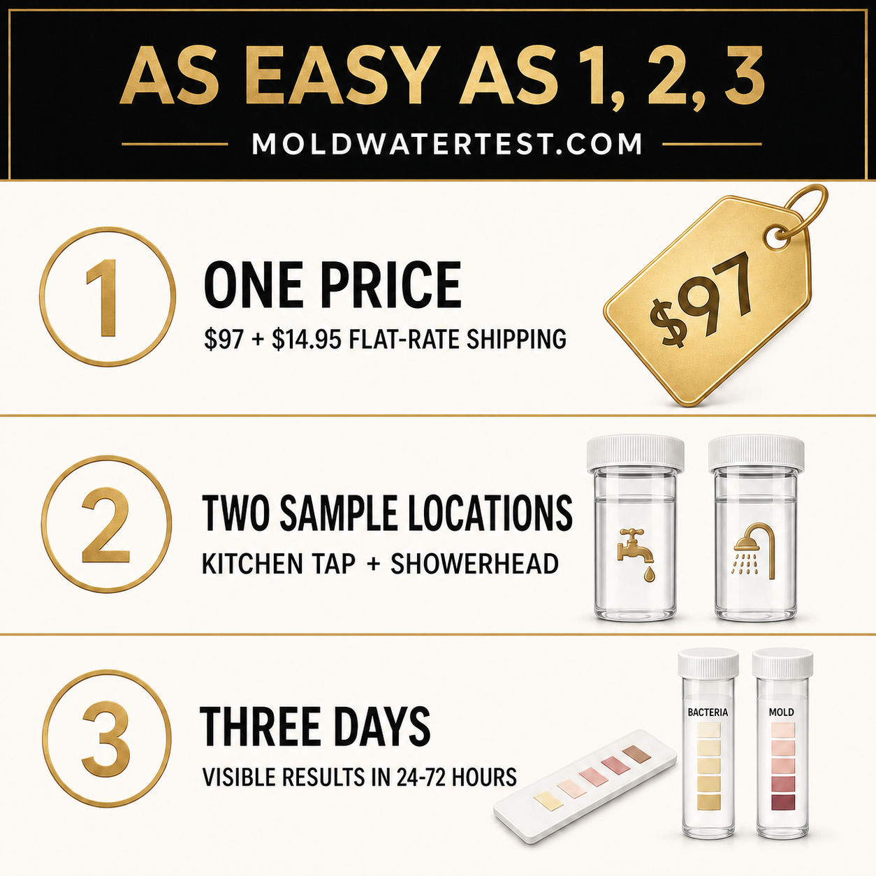 MoldWaterTest.com: one price, two sample locations, and three days for visible results