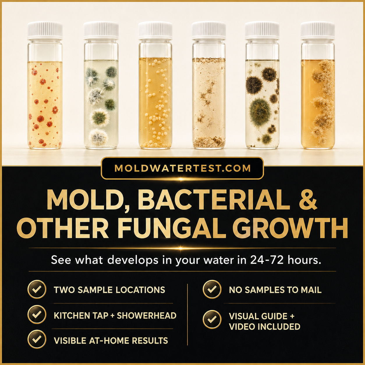 Examples of mold, bacterial, and other fungal growth with MoldWaterTest.com system benefits