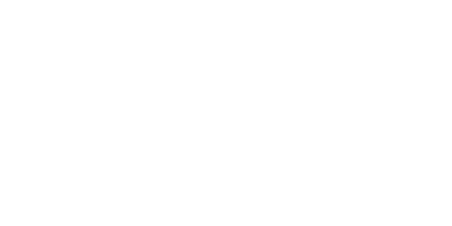 Perplexity