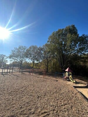 Tree Removal in Campobello, SC
