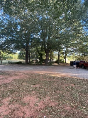 {{ custom_values.service_4 }} in {{custom_values.area_6})