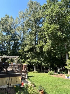 {{ custom_values.service_1 }} in {{custom_values.area_7})