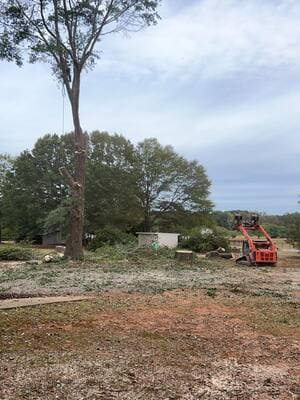 {{ custom_values.service_3 }} in {{custom_values.area_2})