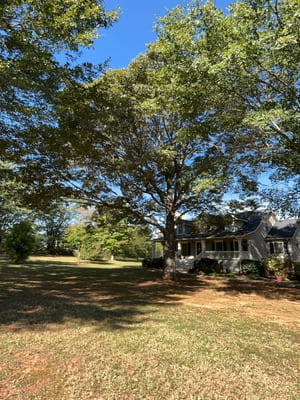 {{ custom_values.service_1 }} in {{custom_values.area_5})