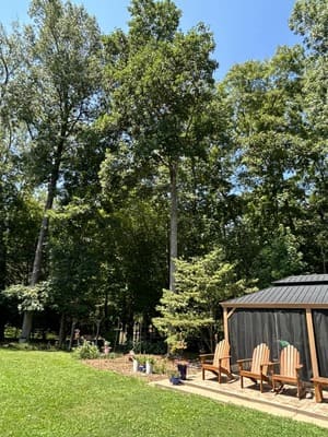 {{ custom_values.service_2 }} in {{custom_values.area_7})