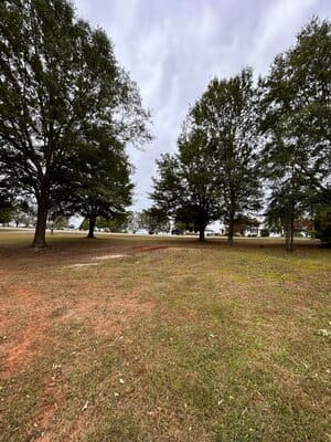 {{ custom_values.service_1 }} in {{custom_values.area_6})