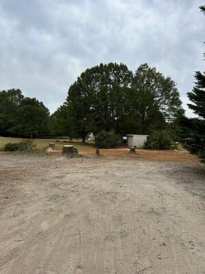 Tree Trimming in Inman, SC