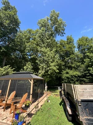 Land Clearing in Inman, SC