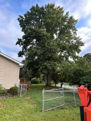 {{ custom_values.service_2 }} in {{custom_values.area_2})