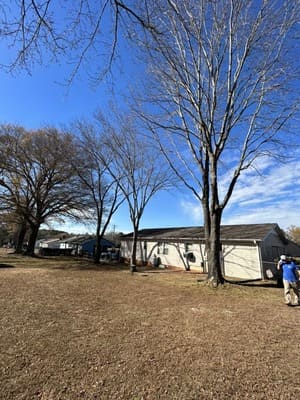 {{ custom_values.service_2 }} in {{custom_values.area_3})