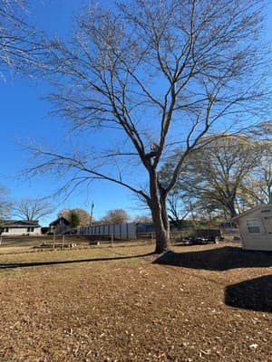 {{ custom_values.service_3 }} in {{custom_values.area_3})