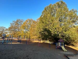 Underbrushing in Campobello, SC
