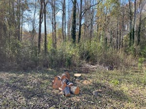 Stump Grinding in Inman, SC