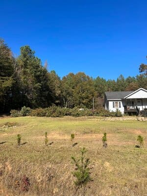 {{ custom_values.service_3 }} in {{custom_values.area_4})