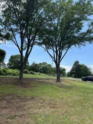 {{ custom_values.service_1 }} in {{custom_values.area_3})