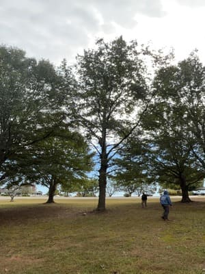 {{ custom_values.service_3 }} in {{custom_values.area_5})