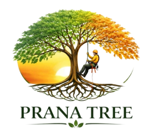Prana Tree Wellington Logo