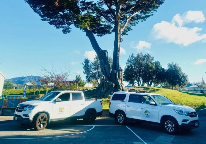 Professional tree pruning and trimming in Kapiti Coast improving tree health and structure