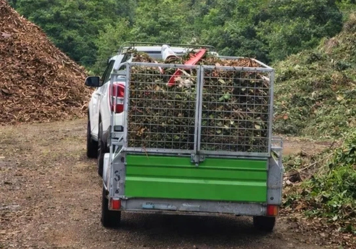 Green waste removal Wellington clearing branches leaves and tree debris after arborist work