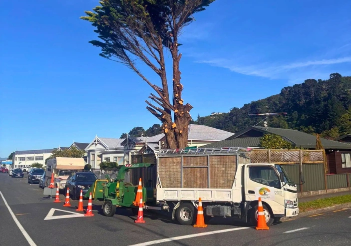 Tree planting service Kapiti Coast selecting and planting suitable trees for local conditions