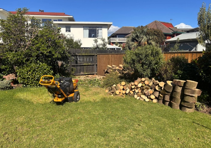 Cleared section after stump grinding Wellington showing clean finish