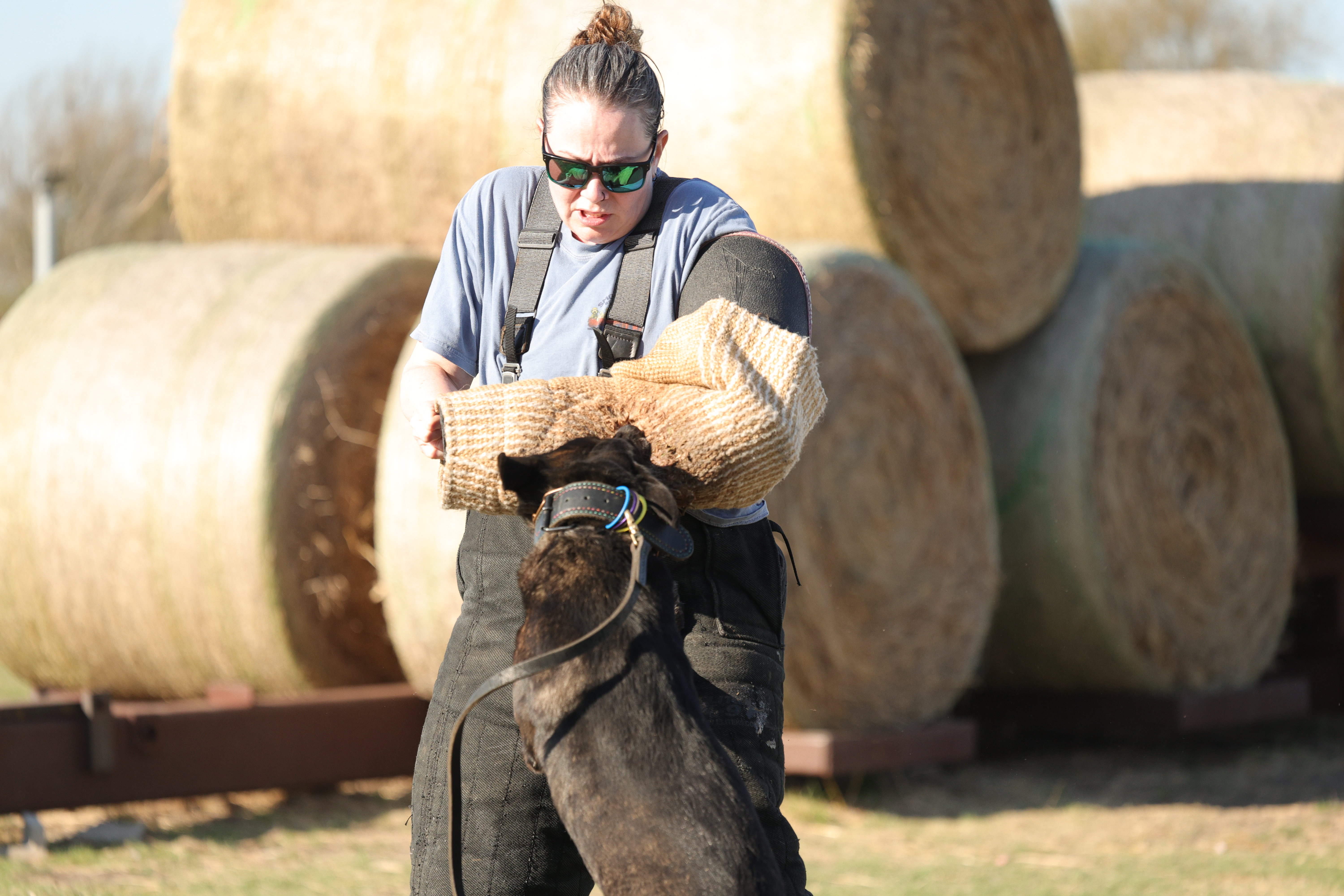 Kayla Roseth, owner and trainer at Quest K9