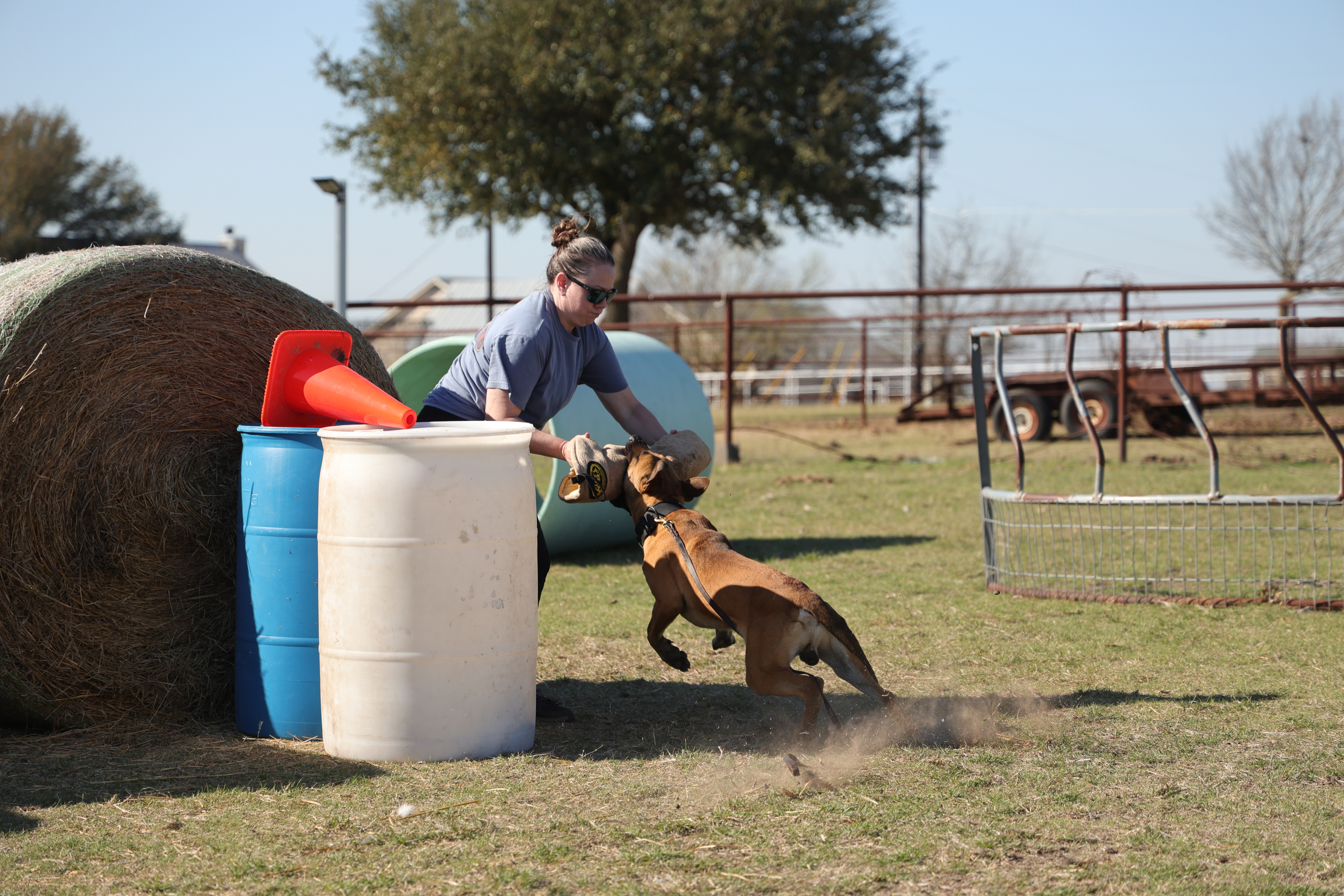 Quest K9 dog training in Red Deer, Alberta