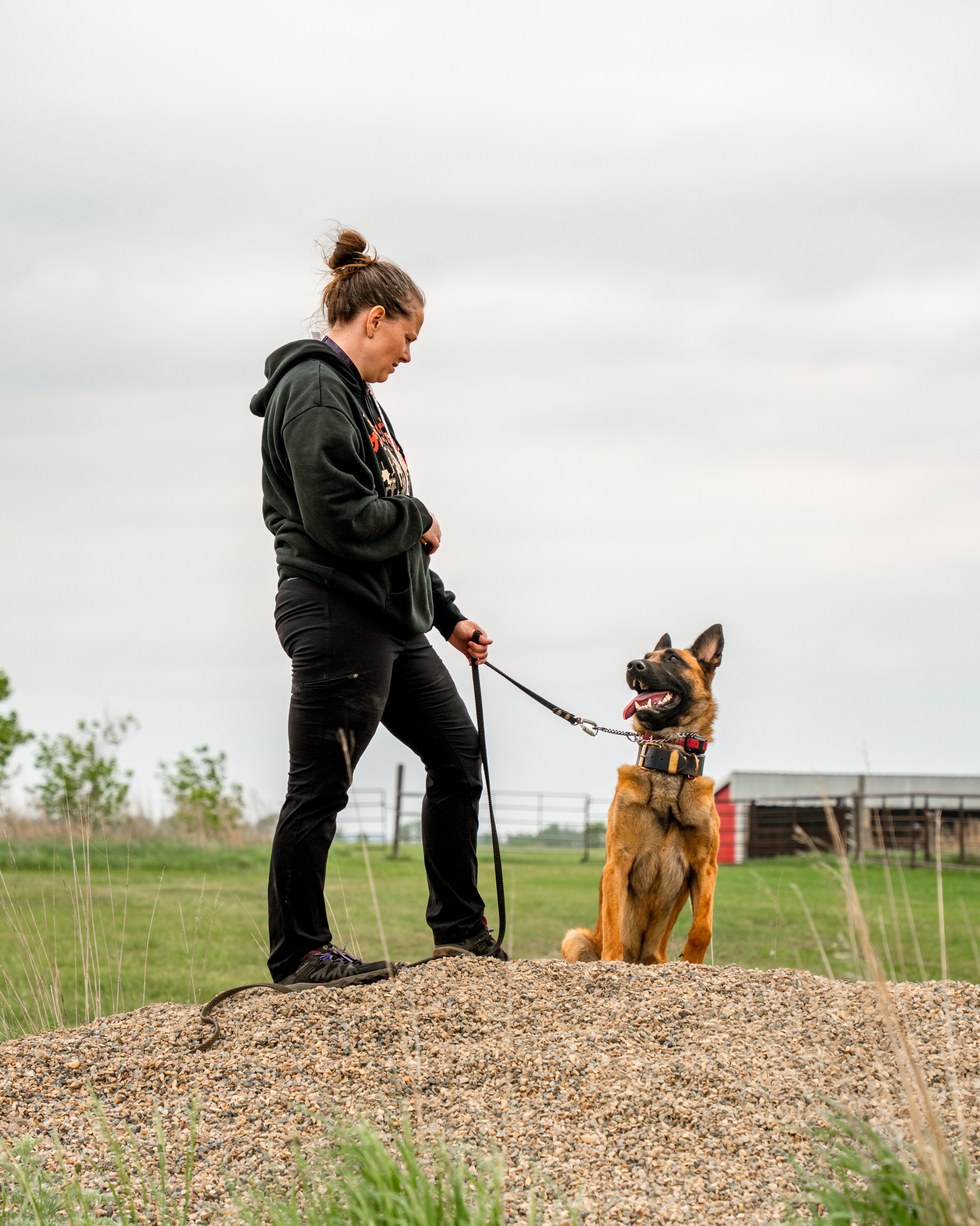 Quest K9 dog training in Red Deer, Alberta