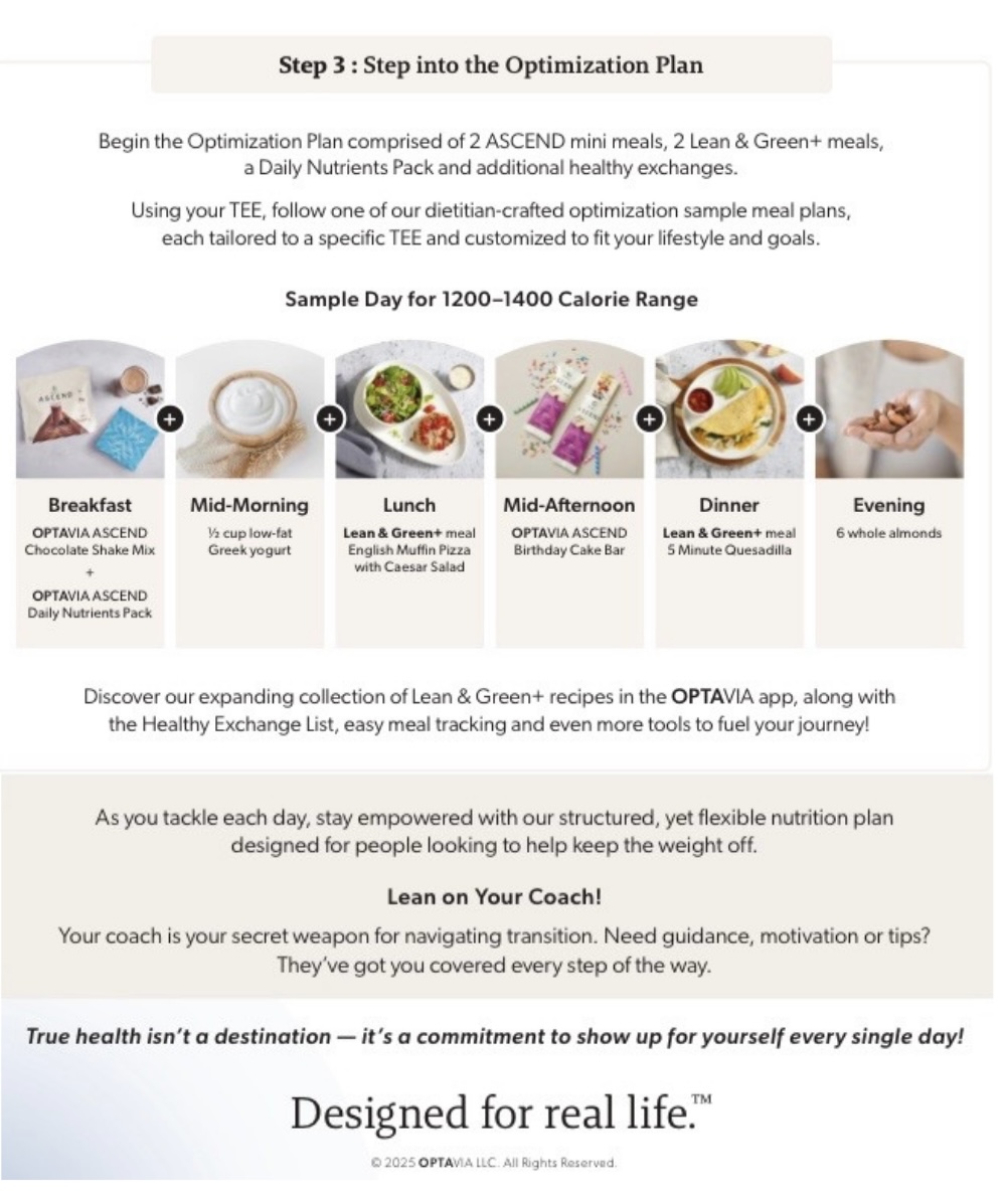 Sample Optimization meal Plan