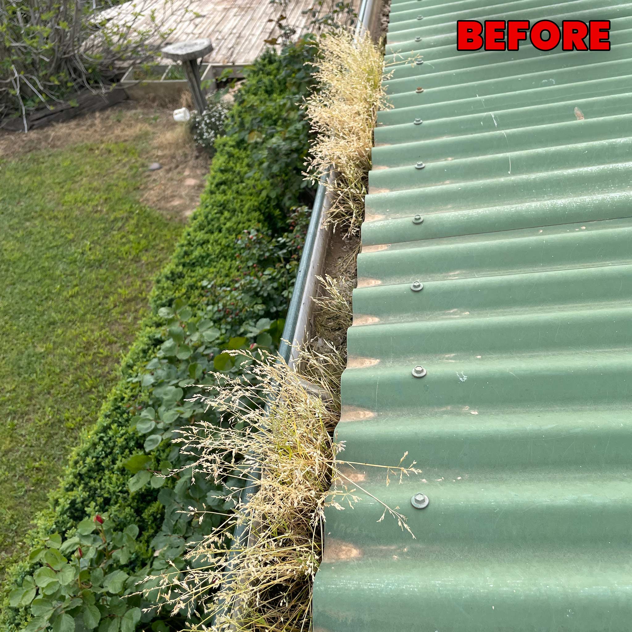 General Yard Cleaning Echuca