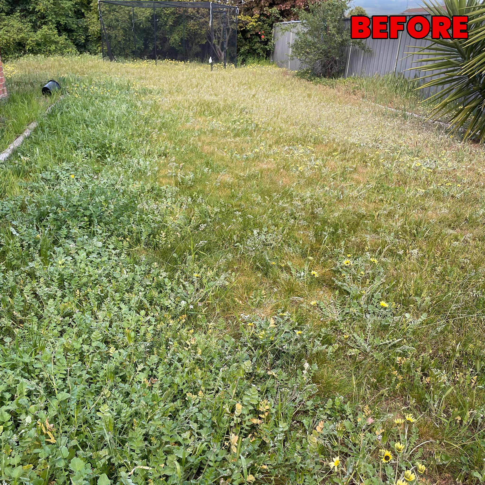 Concrete Surface Cleaning Echuca