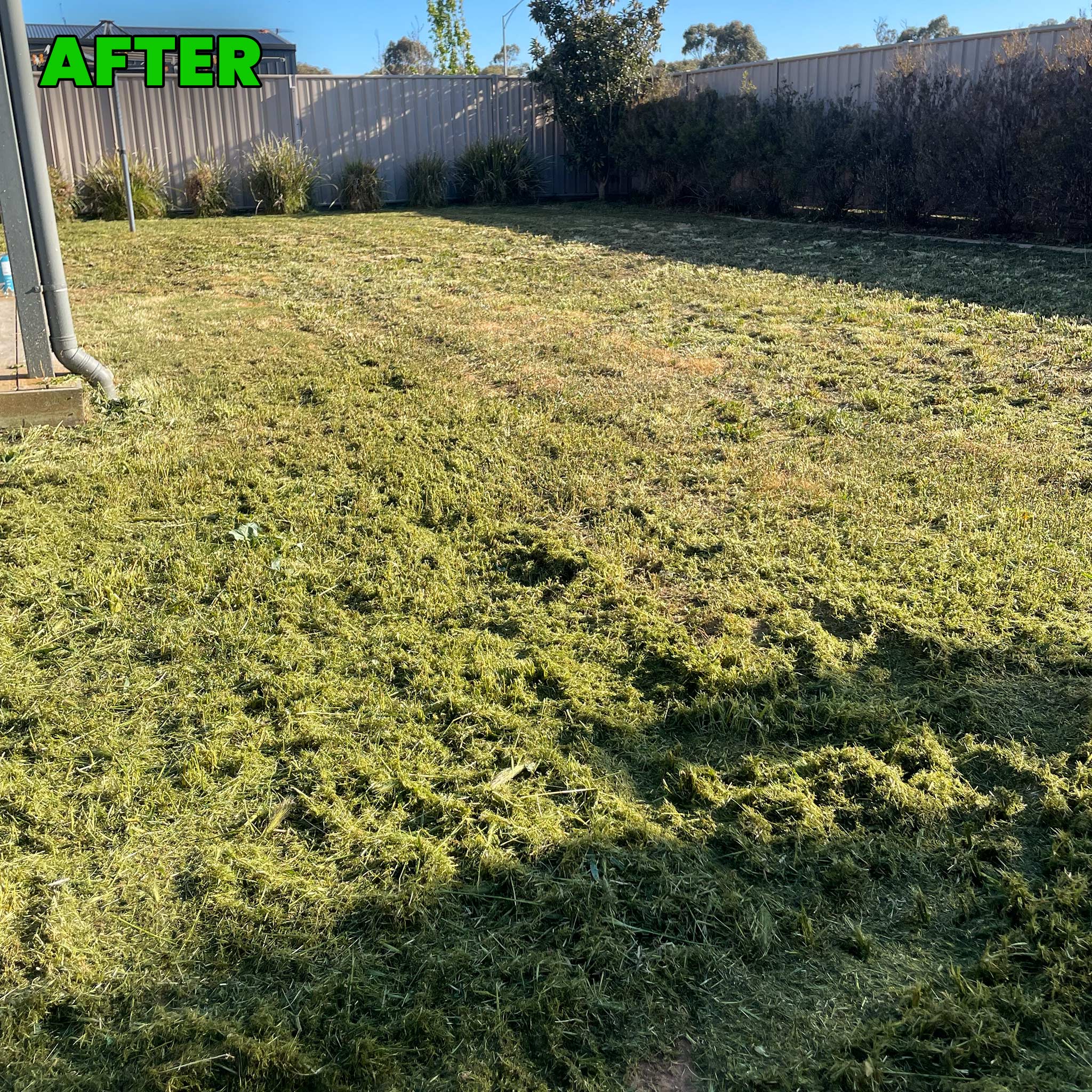 Gutter Cleaning Echuca