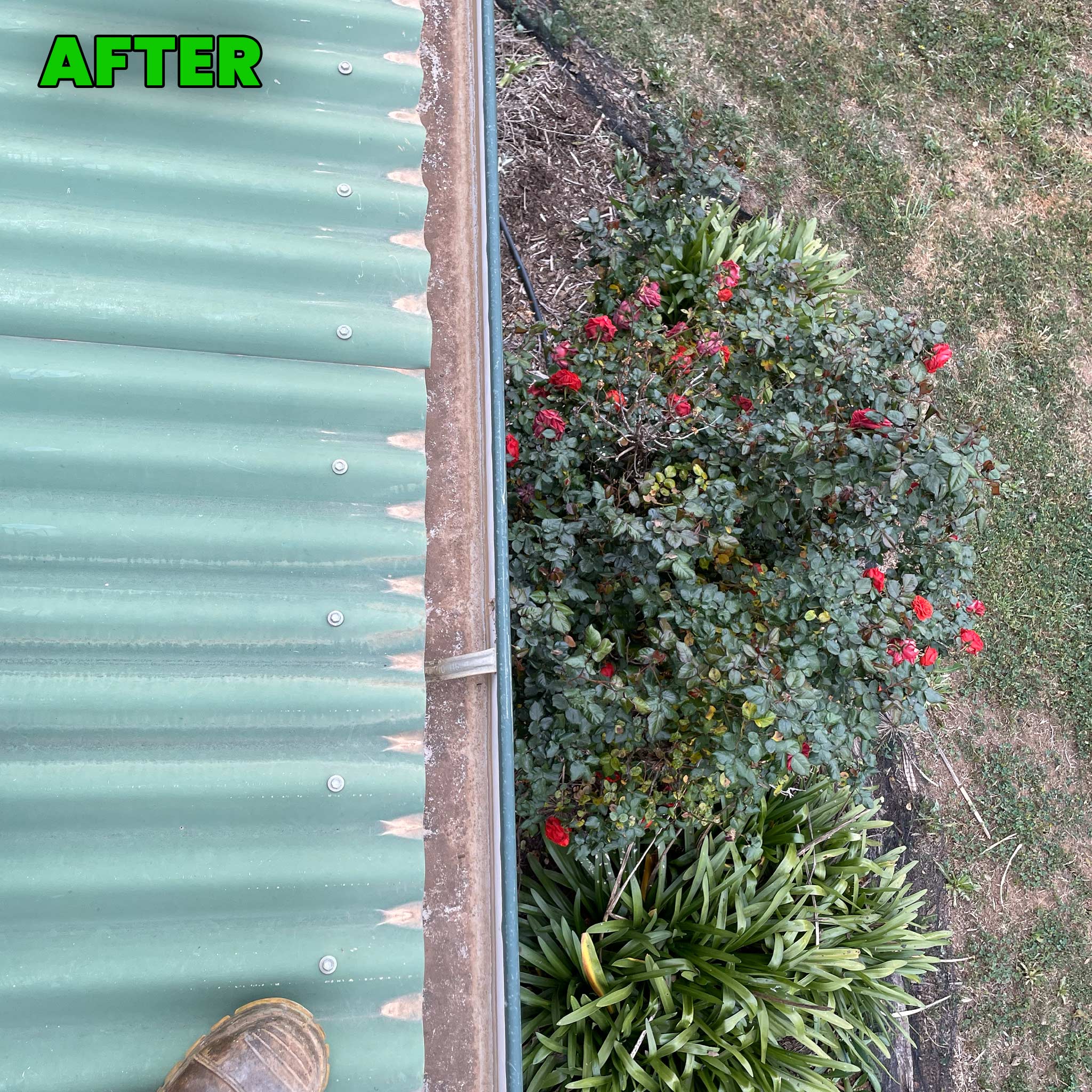 Pressure Washer Cleaning Echuca