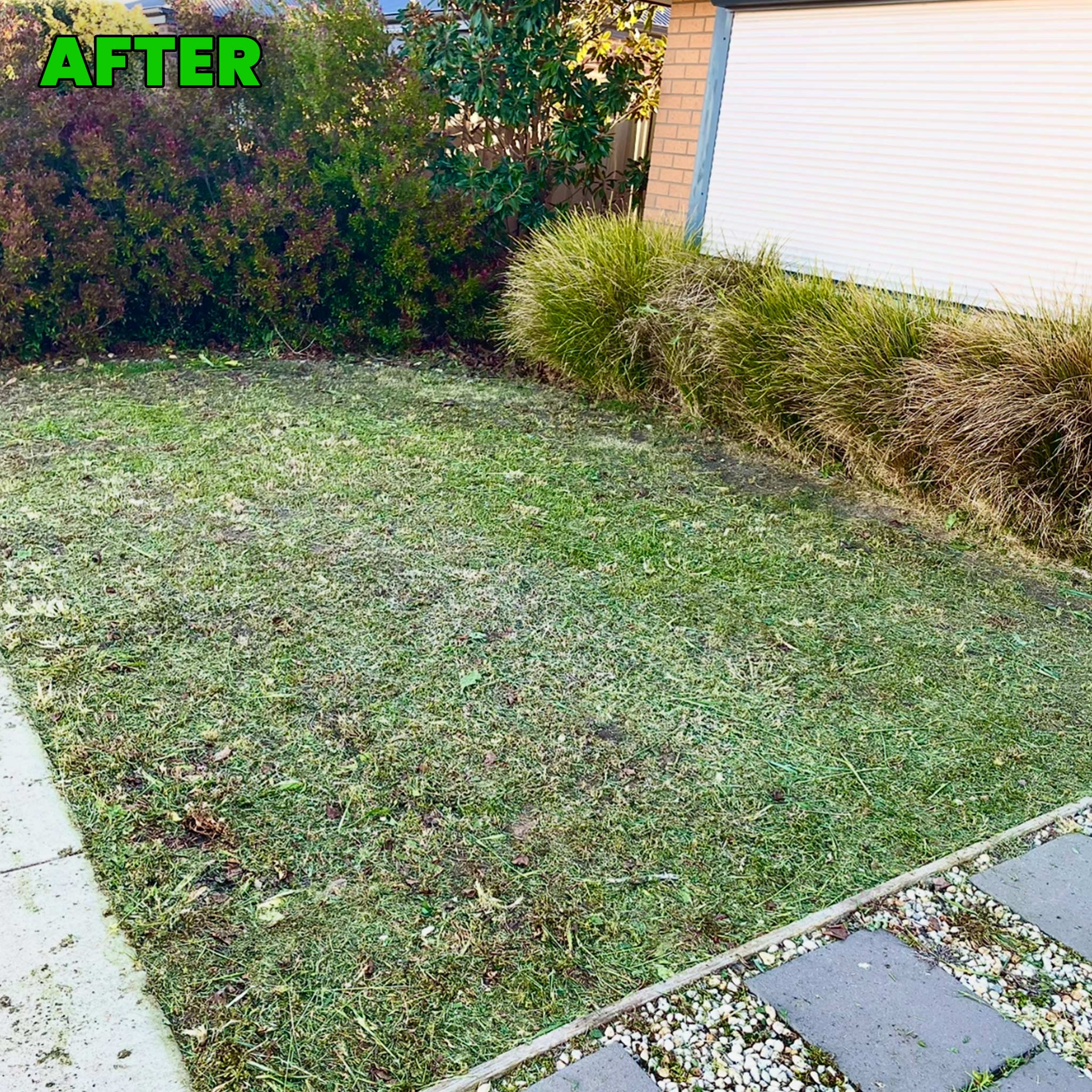 Solar Panel Cleaning Echuca