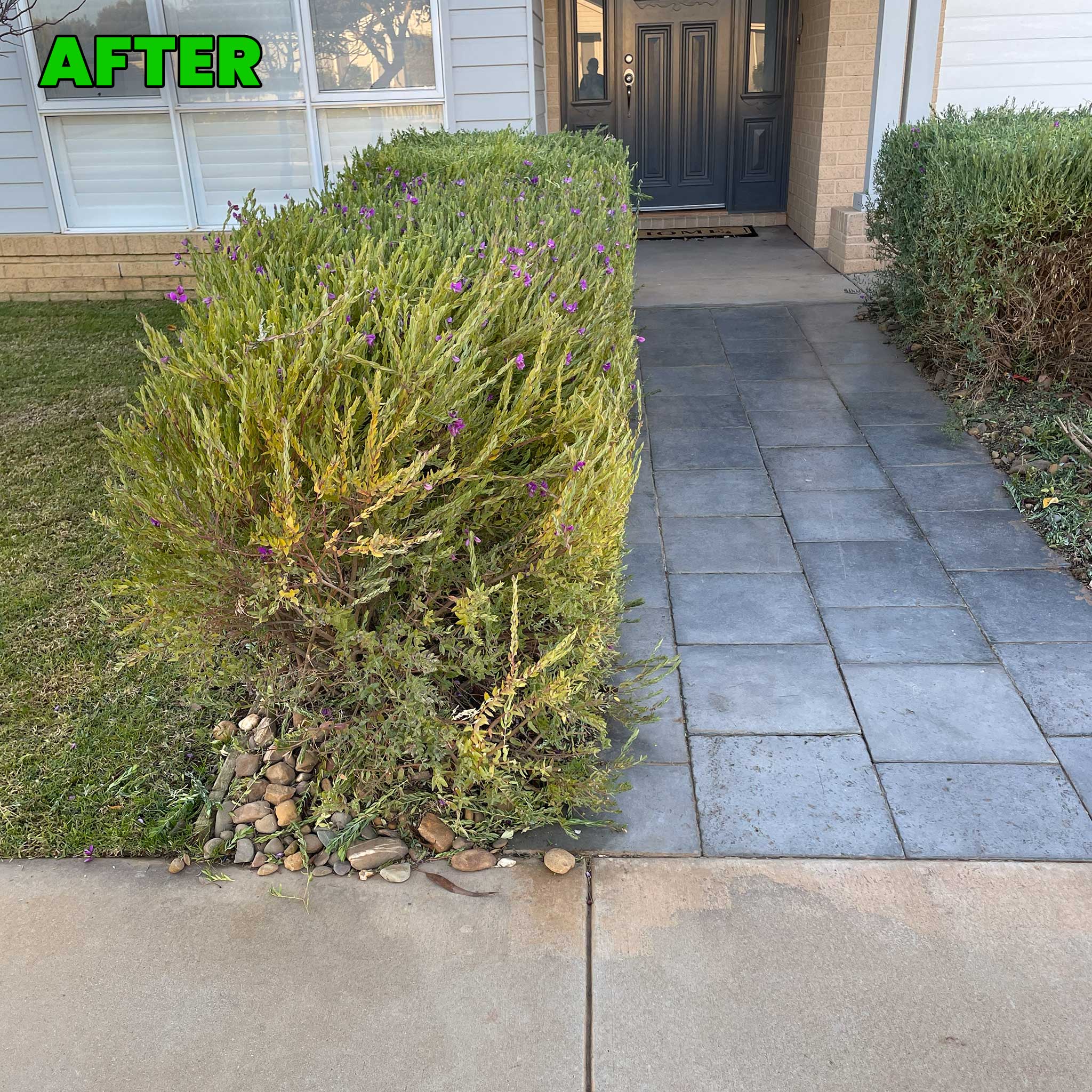 Solar Panel Cleaning 