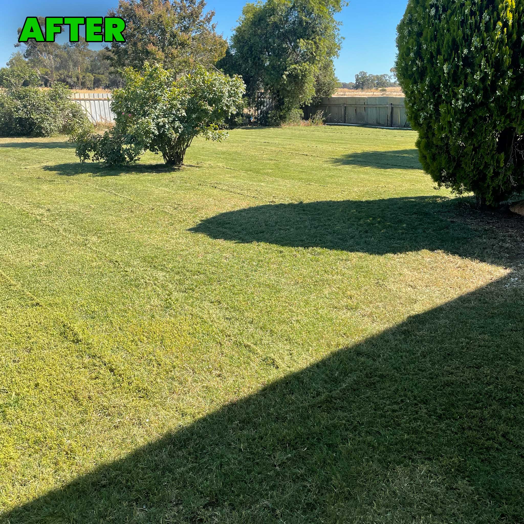 Solar Panel Cleaning Echuca